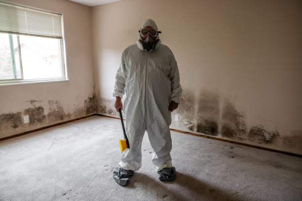 Best Residential Mold Removal  in Sandy Oaks, TX